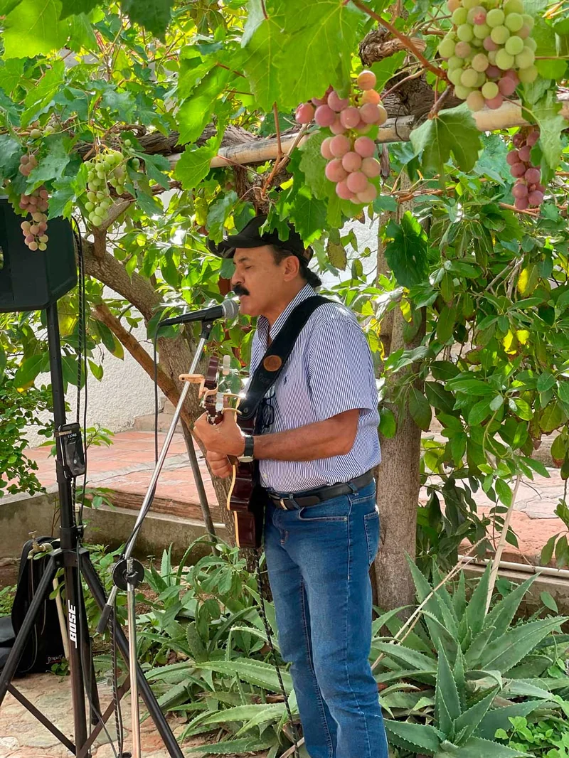 Entre las vides de la finca