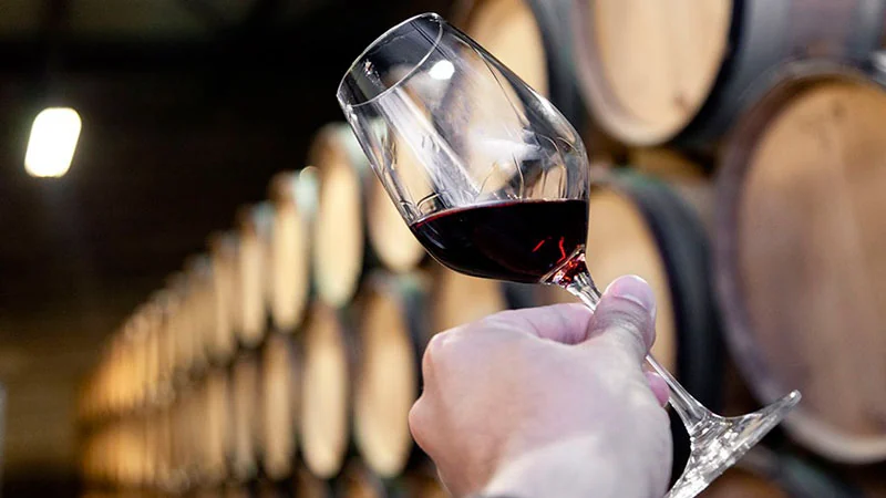 Vino servido junto a las barricas