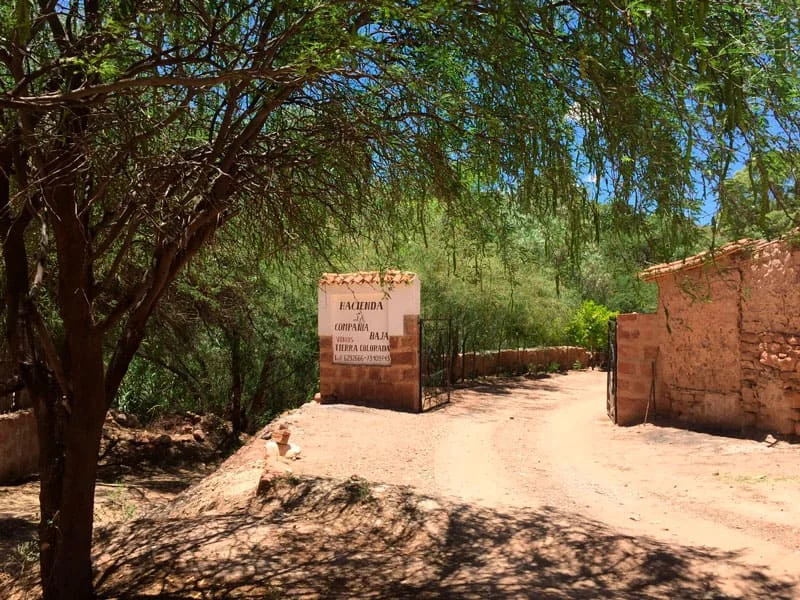 Acceso a la finca entre árboles