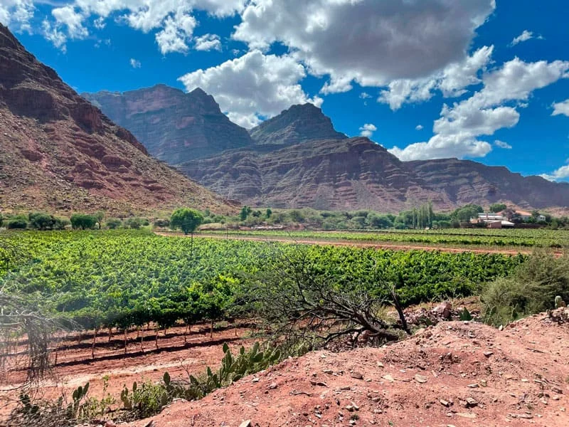 Paisaje del valle y viñedos